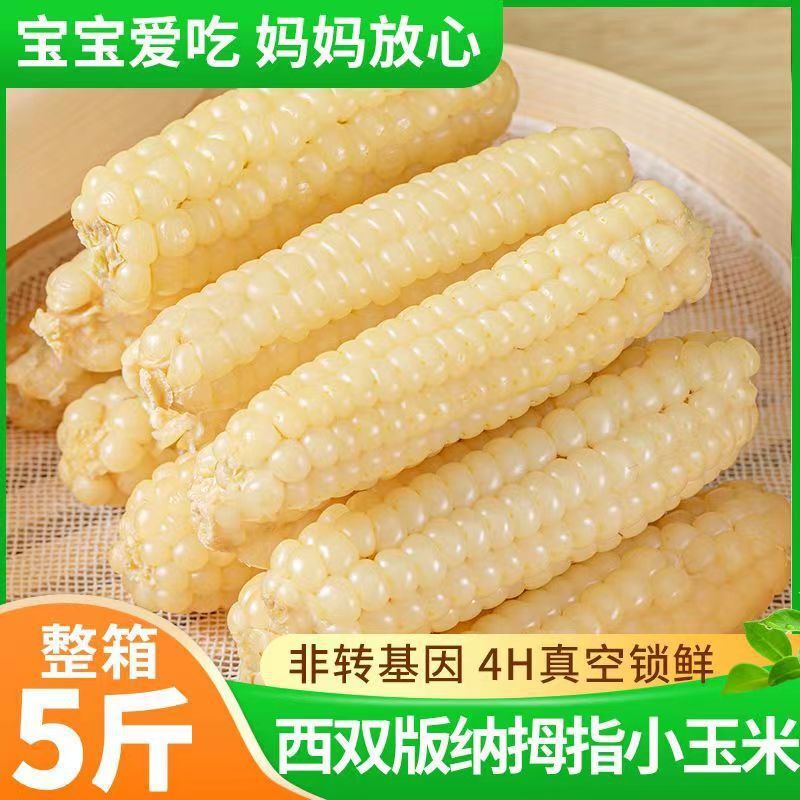 Yunnan Xishuangbanna Dried Corn Snacks – Sweet & Glutinous, Vacuum Packed Fresh