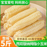 Yunnan Xishuangbanna Dried Corn Snacks – Sweet & Glutinous, Vacuum Packed Fresh