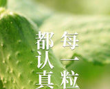 Pure Natural Cucumber Seed Powder Without Additives 250g Raw Cucumber Seeds