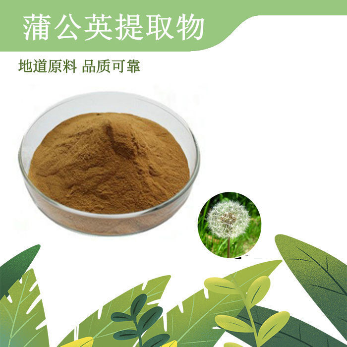 Premium Dandelion Extract 10:1 Flavonoids  Water-Soluble Powder