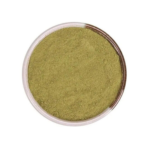 HELLOYOUNG Extra Fresh Rosemary Powder 250G-1kg - Strong Flavor