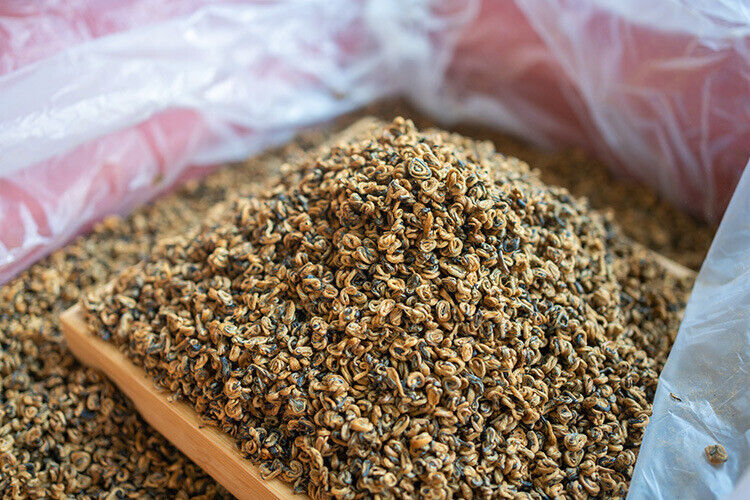 Fengqing Dian Hong tea gold snail spring tea Yunnan black tea red snail gold bud