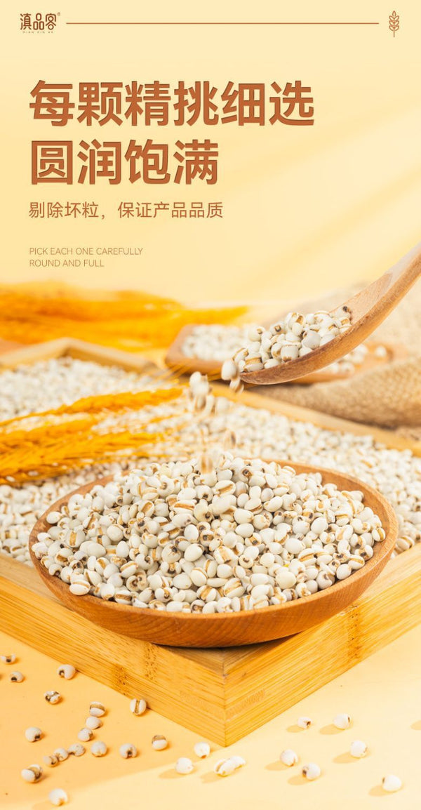 500g Job’s Tears (Coix Seeds) - Whole Grain for Tea & Porridge