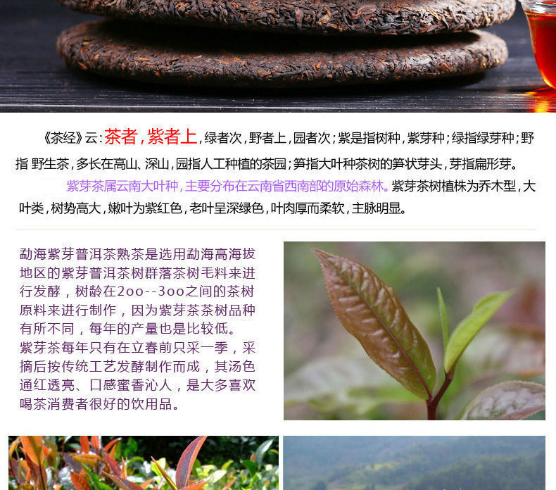 Puerh Ripe Tea Menghai Purple Bud Puerh Tea Aged Purple Bud Seven Cakes 357g