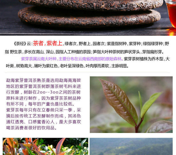 Puerh Ripe Tea Menghai Purple Bud Puerh Tea Aged Purple Bud Seven Cakes 357g