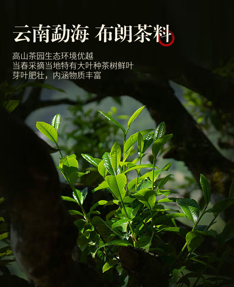 Ten Year Old Jinya Ripe Tea Pu'er Tea Ripe Tea Cake Menghai Bulang Mountain 357g