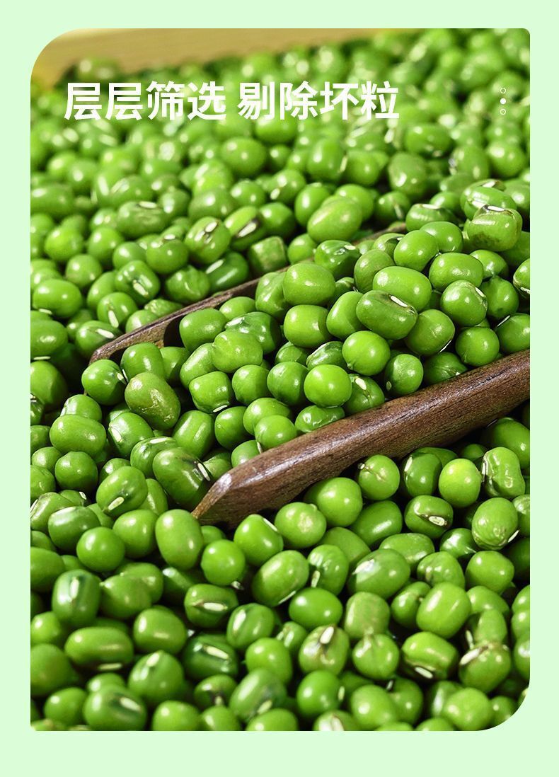 Premium Green Mung Beans - Whole Grain for Soups & Sprouting