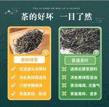 Premium Lincang Old Tree Green Tea Yunnan Large Leaf Fresh Natural Tea