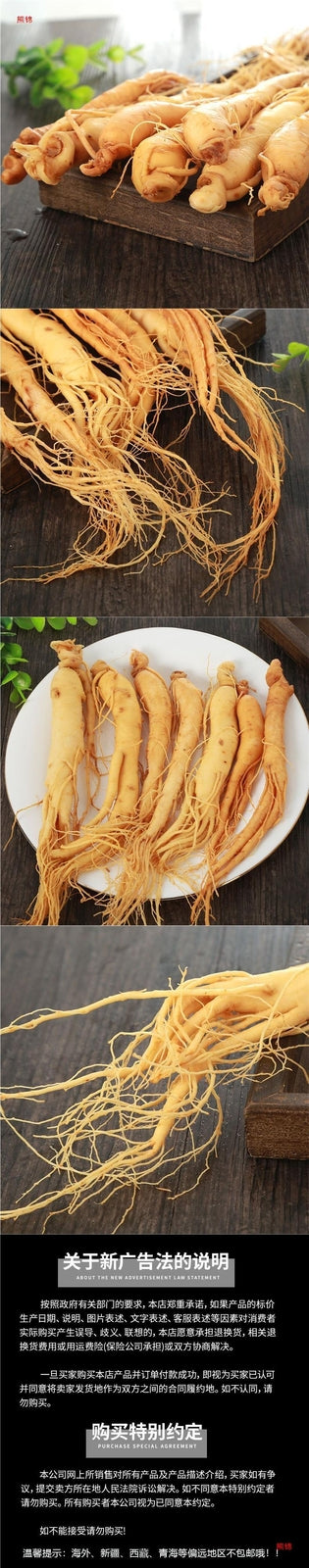 Good for Wine Soaking and Soup Premium Fresh Wild Ginseng from Changbai Mountain