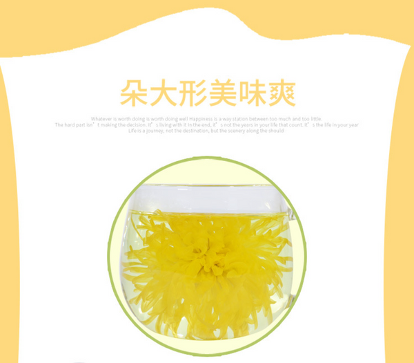 Golden silk chrysanthemum a cup of tribute chrysanthemum Wuyuan flower tea 30