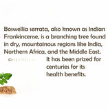 Boswellia Serrata Extract 17.6 oz