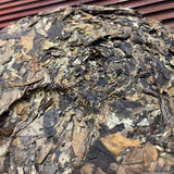 Yunnan White Tea Jinggu pressed of old white tea cake 357g/12.59oz