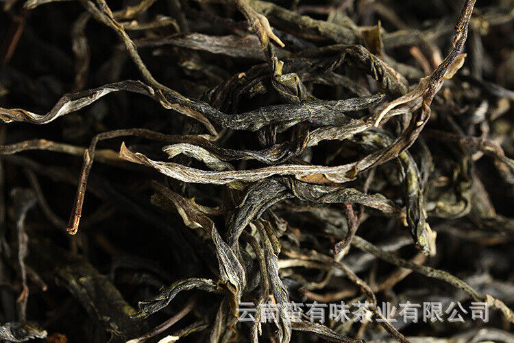 Yunnan Puerh Tea Ancient Tree Tea Old Tree Tea Spring Tea 500g Loose Tea
