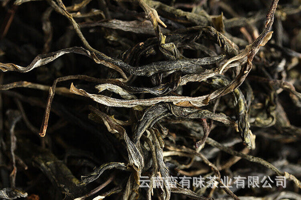 Yunnan Puerh Tea Ancient Tree Tea Old Tree Tea Spring Tea 500g Loose Tea