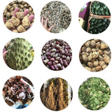 Cnidium Monnieri Extract 20:1 - Water Soluble Chinese Herbal Tea - She Chuang Zi