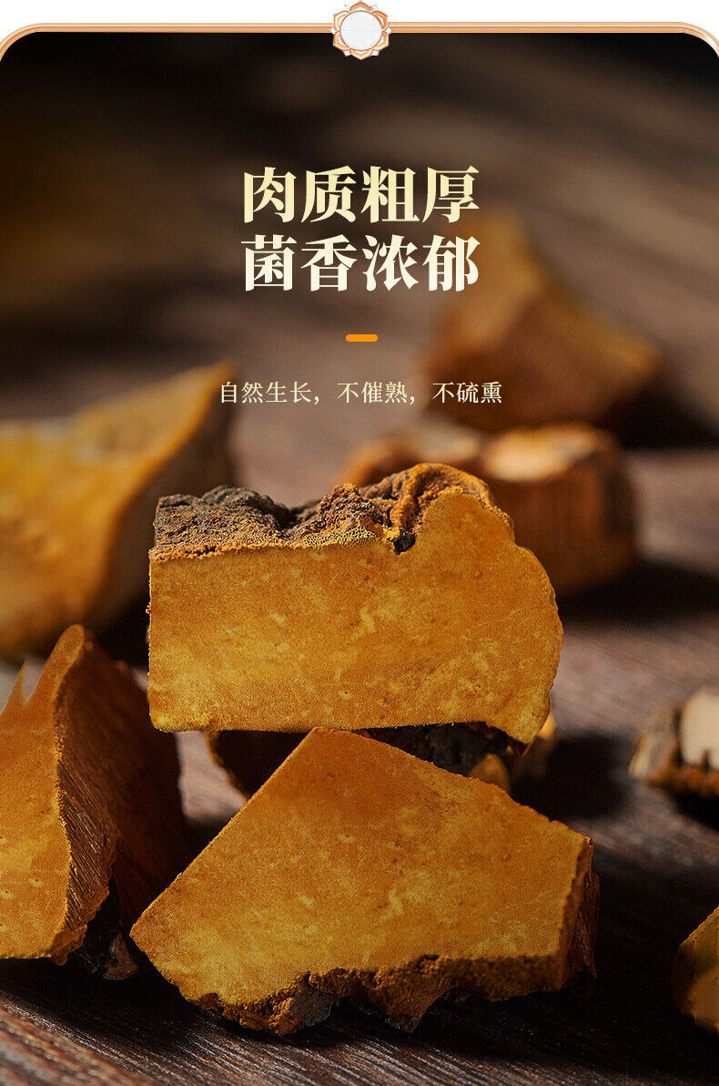 Natural Sanghuang Phellinus Linteus Chinese Herbal Tea Health Tea 50g
