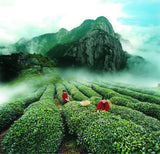10 Flavors China Tea cha and Cooked Puer Tea Slimming Mini Shu Puerh Tea Tuocha