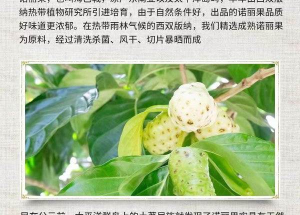 50g Morinda Citrifolia Herbal Tea 50 Grams Fresh Hainan Noni Fresh Fruit Dried