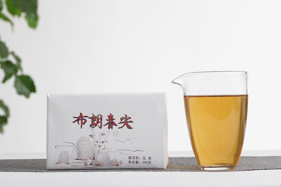 200g Yunnan Pu'er Tea Bulang Spring Tip Pu'er Raw Brick Pre-Mingling Spring Tea