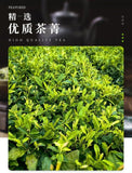 An No 4 Green Tea Iron Can Fresh Picked Premium Gift for Tea Lovers