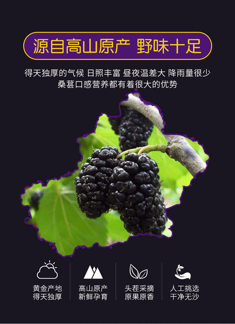DriedMulberry Fruit No Wash Dried Mulberry Mulberry Black Mulberry 500g/1.1lb