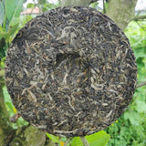 357g Brown Mountain Old Tree Pu'er Tea Zhonghong India Laobanzhang Cha Tea