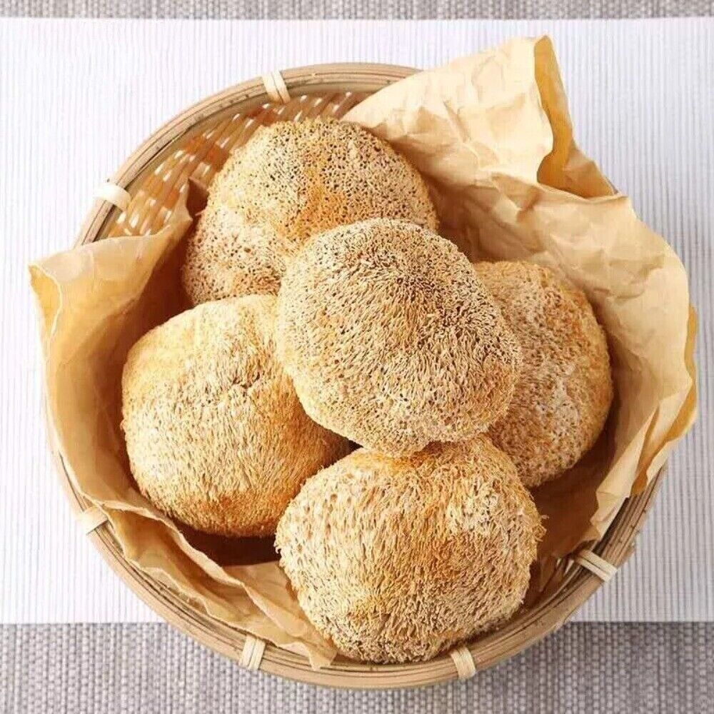 Lions Mane Mushroom 250g Organic Dried Chinese Herbal Premium Natural