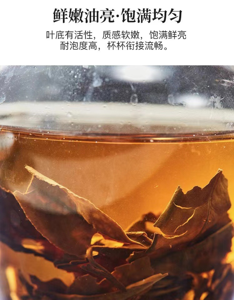 350g Fuding high mountain white tea aged day sun old tea cake gongmei shoumei