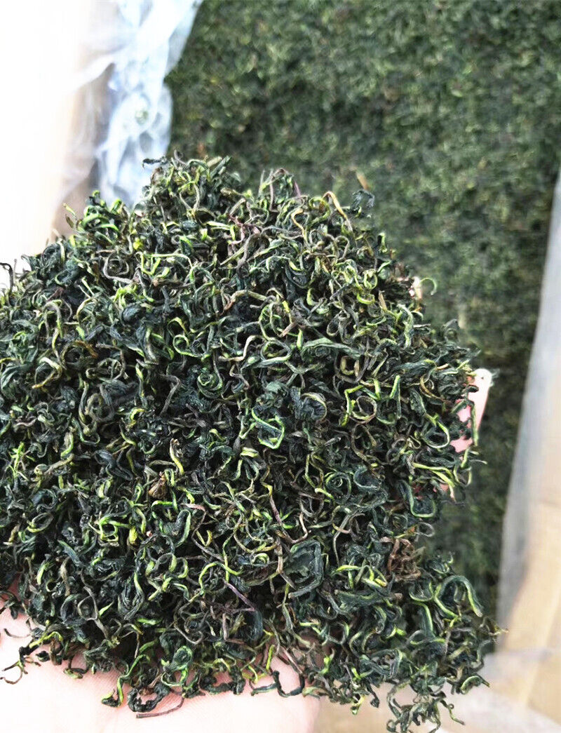 Wholesale dandelion tea brahmi tea dandelion tea bulk herbal tea 17.6oz