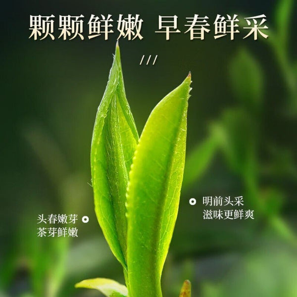 Premium Longjing Green Tea Early Spring Harvest 50g Natural Healthy