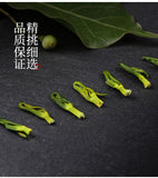 Premium Lotus Plumule Authentic Lotus Seed Heart Chinese Herbal Tea