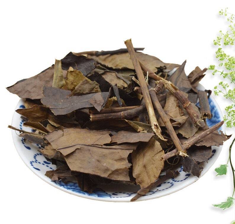 8.8oz Glabrous Sarcandra Herb, Herba Sarcandrae, Dried Herbs Zhong Jie Feng 肿节风 Secondary image