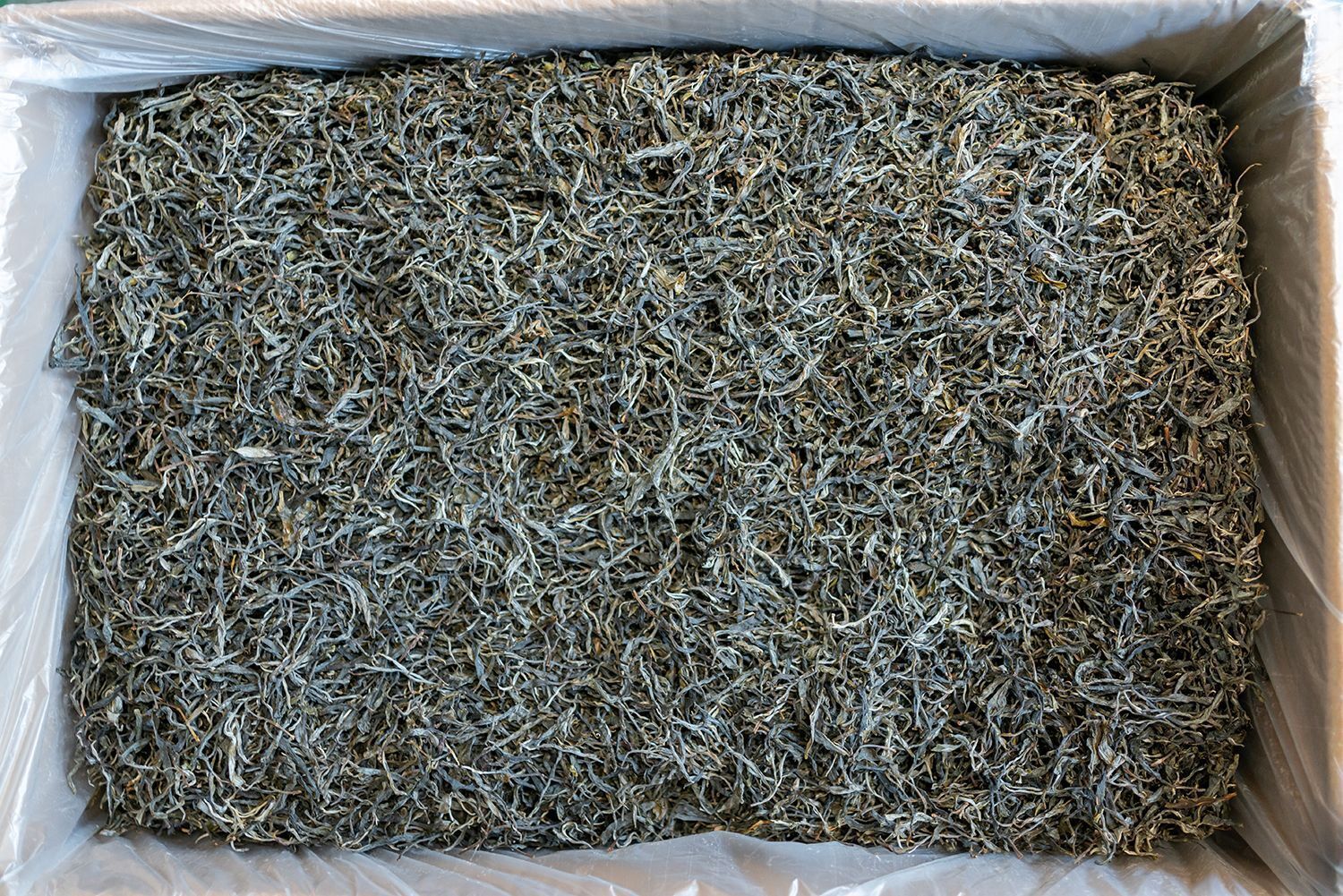 500g Icelandic Damnuo Ancient Pu-erh Raw Tea Honey Orchid Aroma Sun Green Tea
