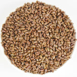 500g Cassia seeds tea new product cooked cassia seeds tea bulk herbal tea