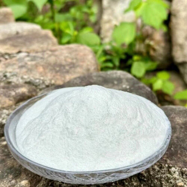 Food Grade White Birch Extract Powder Sap Concentrate Herbal Tea Premium Natural