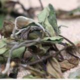 WhiteTea White DewAutumn Tea 500g Organic Fuding White Tea Floral Fragrance Bulk