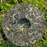 357g Natural Organic Arbor Pu'er Tea Top Yiwuqingbing Health Care Pu'er Cha Tea