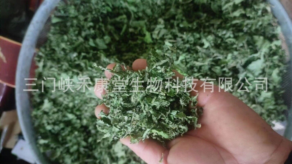 Premium Nettle Leaf Tea Food Grade, Herbal Tea, Health Benefits 500g