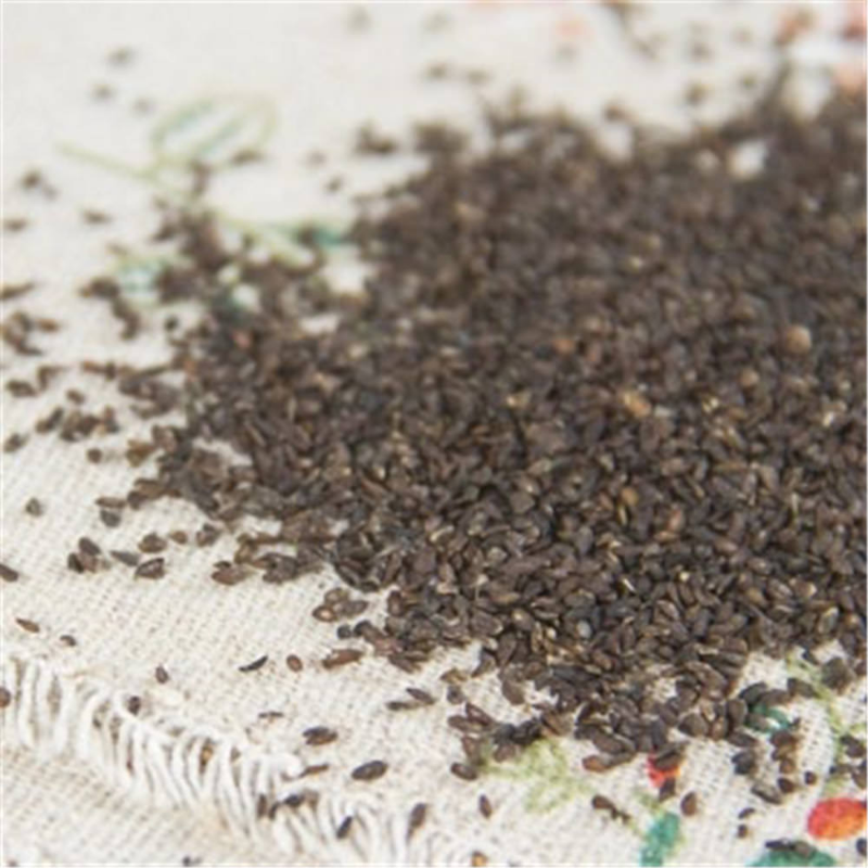 Plantago Asiatica Seed 250g 车前子 Che Qian Zi Plantain Seed Psyllium Seed Natural Secondary image
