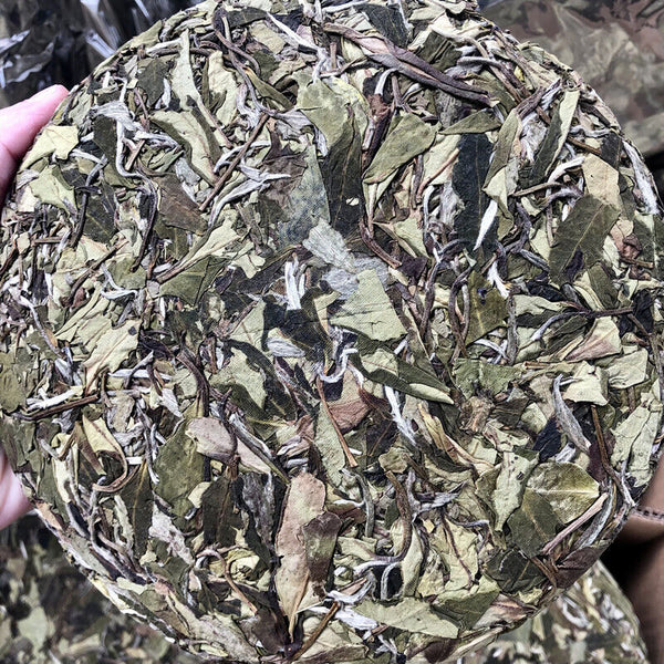 Mountain Sun Tea Cake White Peony Tea Spring Tea Cake 350g White Tea Barren