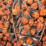 Fengqing Dianhong Baihe Baota Black Tea 100g Handmade Honey Aroma Loose