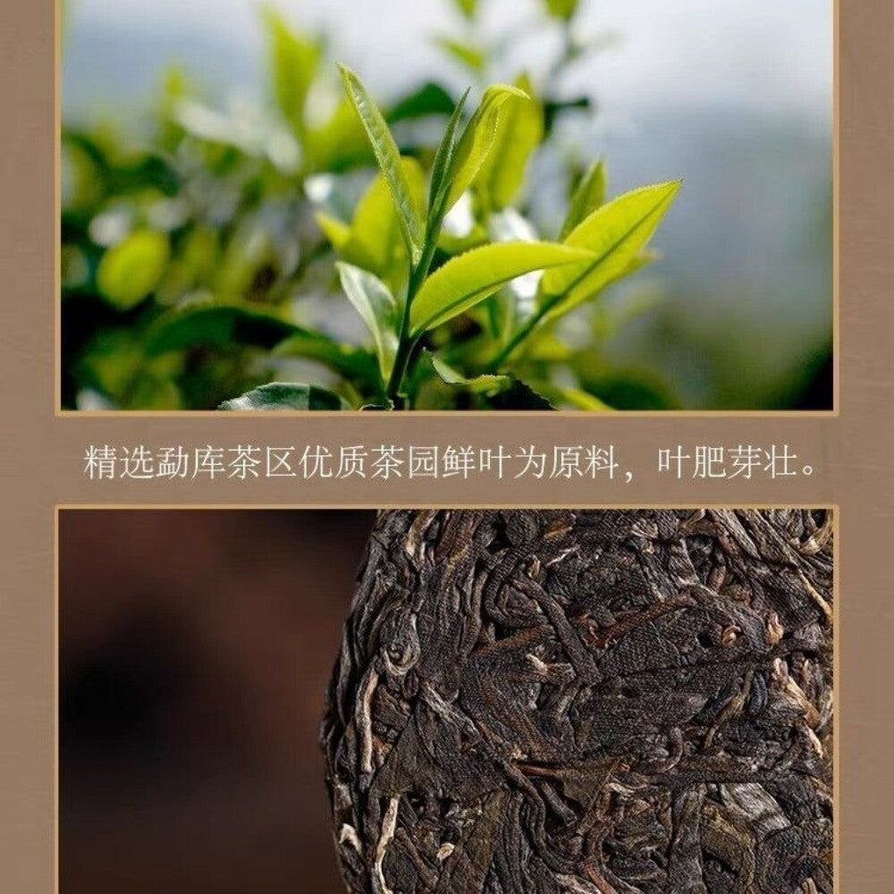 2021 Mengku Rongshi Raw Pu-erh Spring Tips 100g Floral Honey Aroma Yunnan