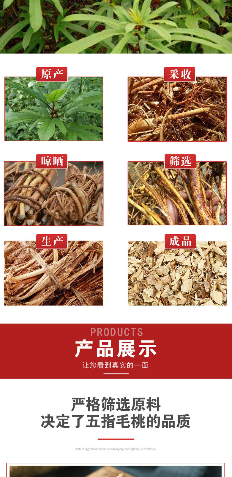 Soup Ingredients Five Fingers Peach Root Granules Dried Five Fingers Peach 500g