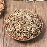 Organic Herbal Veronica Peregrina Great Quality