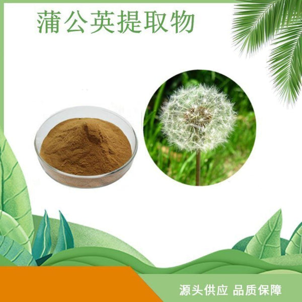 Dandelion Extract 10 1 Flavonoids Water Soluble Powder Premium Pure