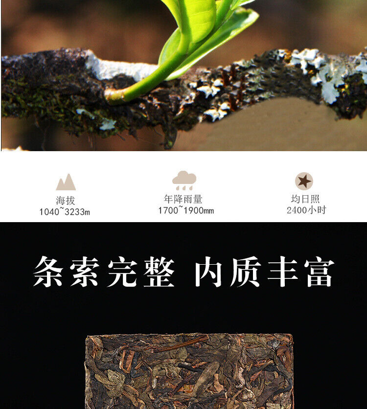 Yunnan Puerh Tea Brick Iceland Ancient Gold Leaf Puerh Raw Tea Brick 1000g