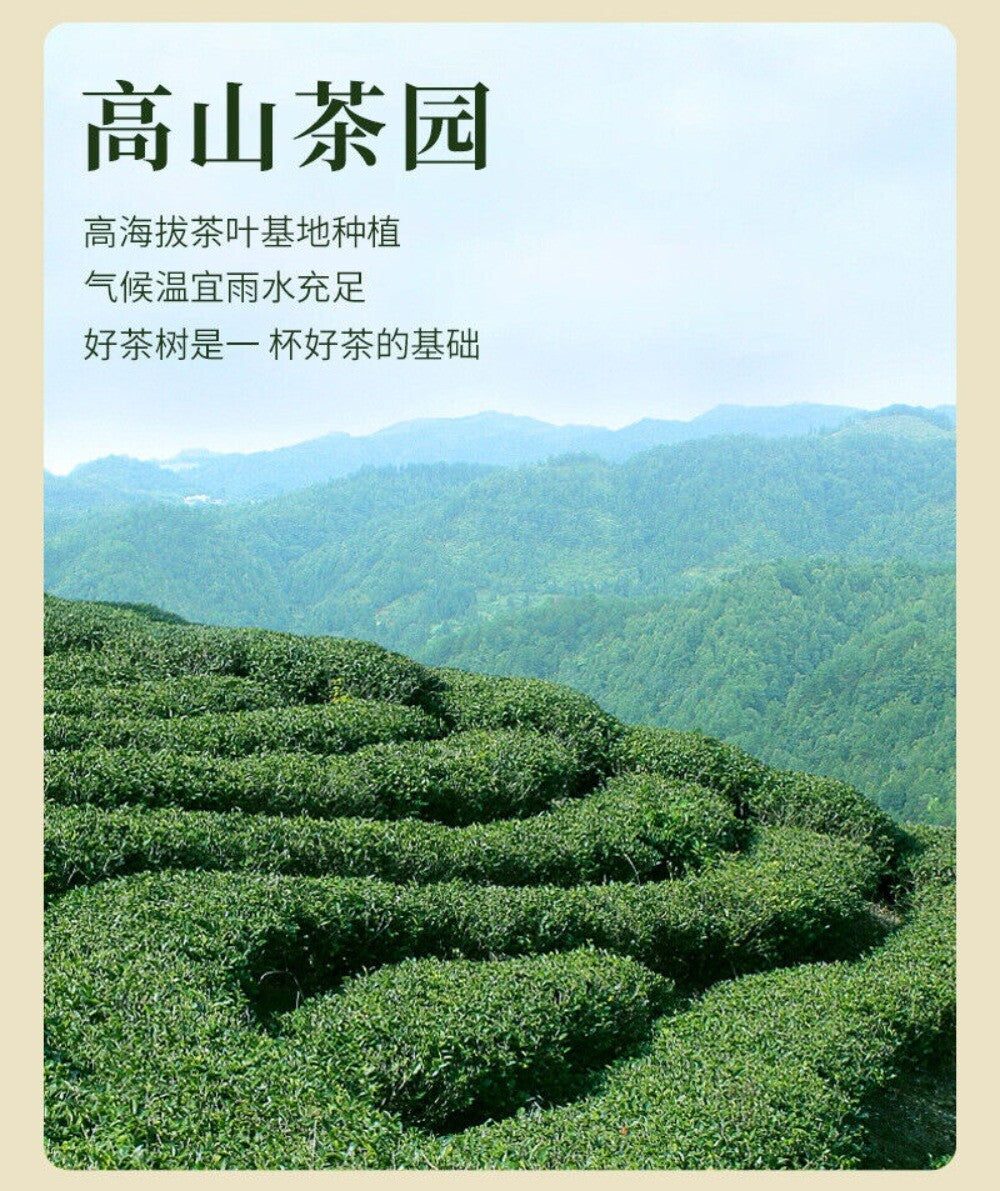 2025 Biluochun Green Tea Fresh Fragrant Mountain Grown Premium Loose Leaf