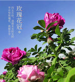 Dried Flower Rose Tea Large Rose Corolla Double Dried Rose Petals Health Tea