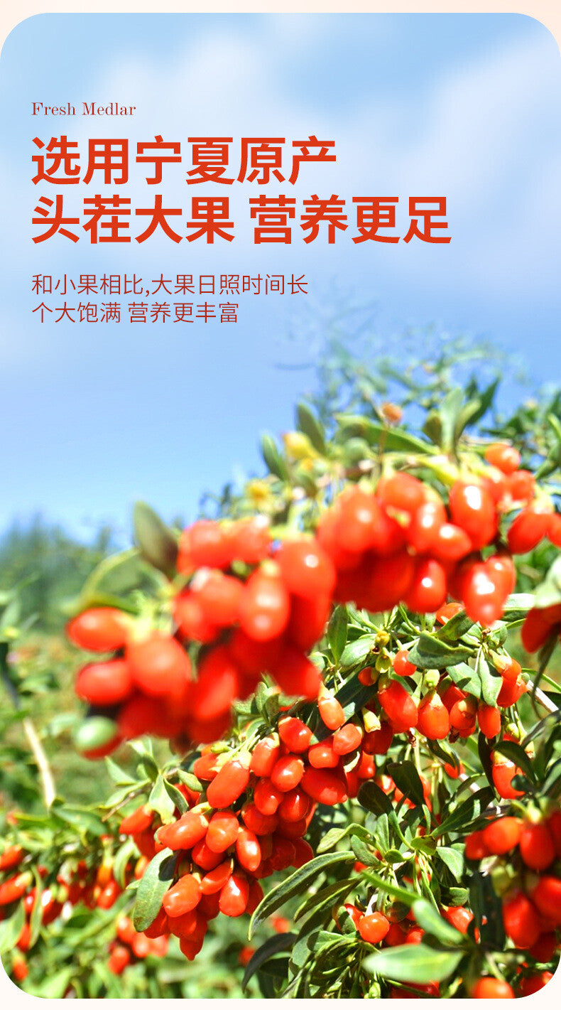 Ningxia Goji Berry Puree,Sea Buckthorn, Black Goji,Mulberry, and Blueberry Juice