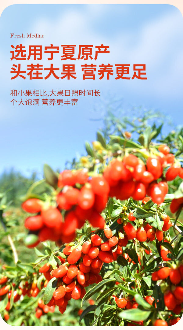Ningxia Goji Berry Puree,Sea Buckthorn, Black Goji,Mulberry, and Blueberry Juice